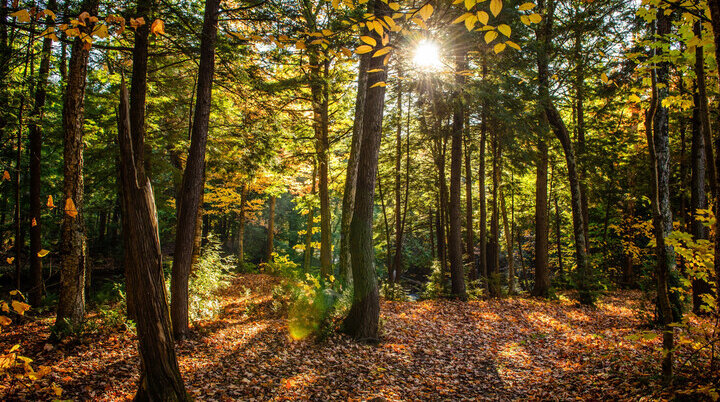 In der Natur unterwegs I DAV Heilbronn | © freepik