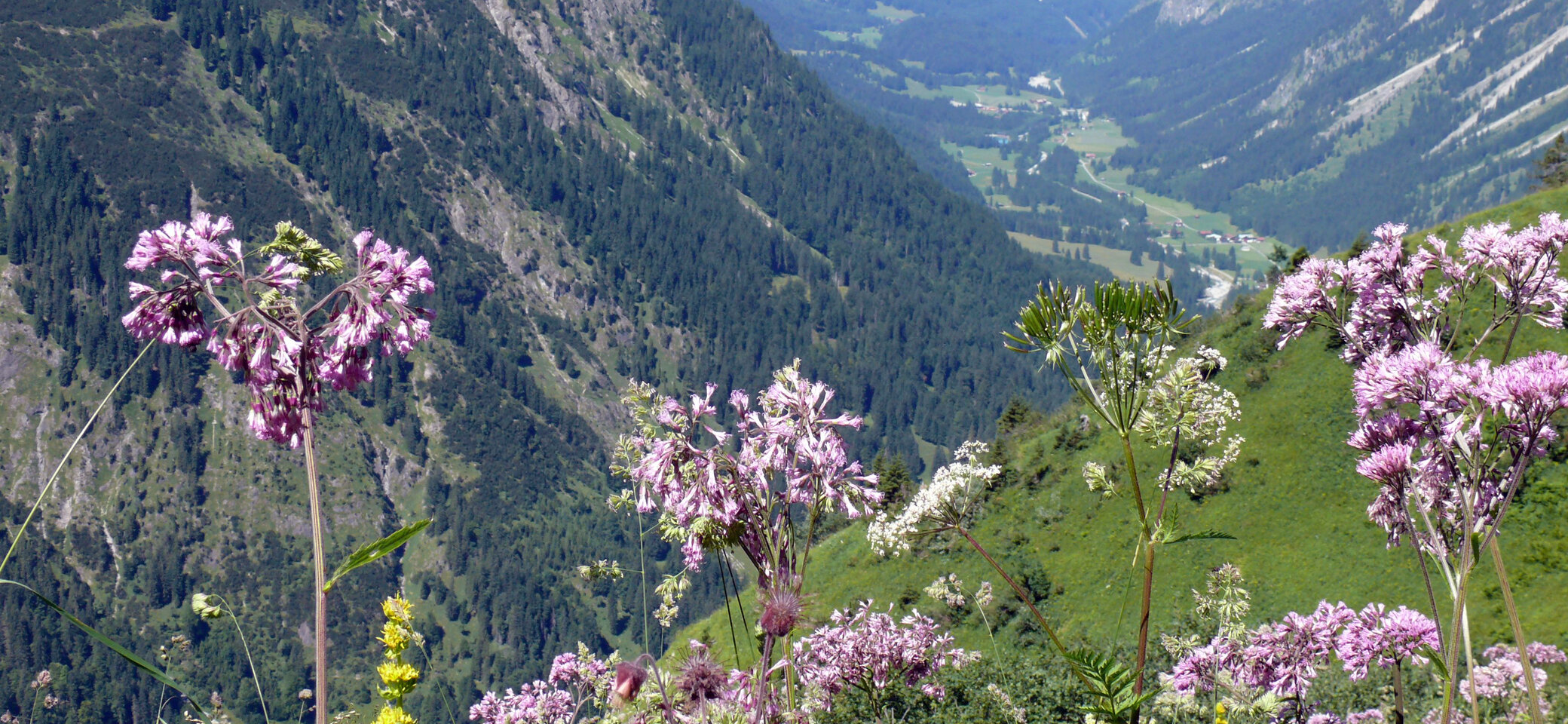 Heilbronner Weg / Ausblick ins Tal / DAV Heilbronn | © DAV Sektion Heilbronn