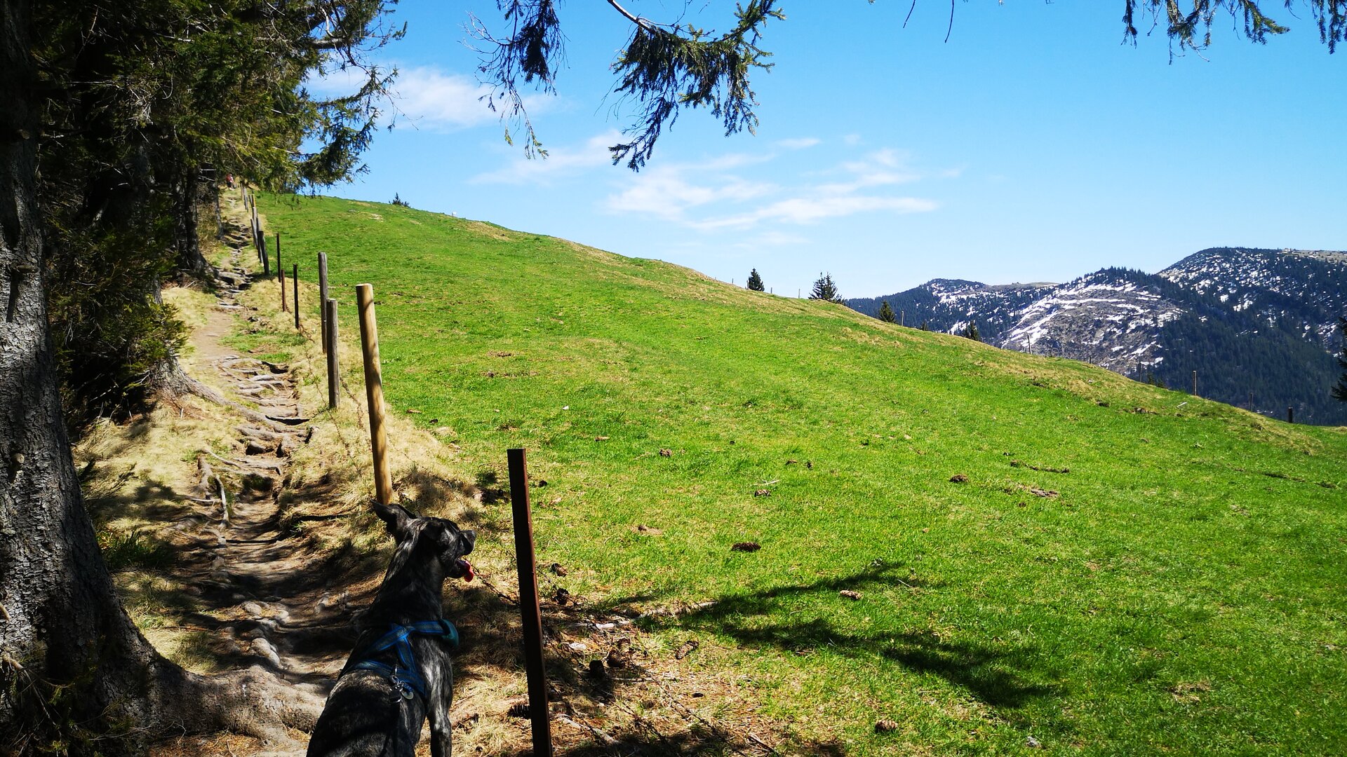 Bergwandern / Kurse und Touren / Jahresprogramm / DAV Heilbronn | © Verena Lany