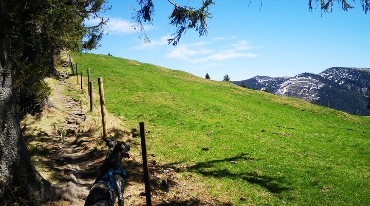 Bergwandern / Kurse und Touren / Jahresprogramm / DAV Heilbronn | © Verena Lany